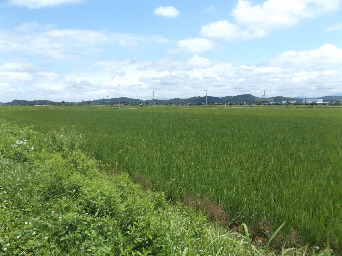 会津地方の農家を襲う「８０５０問題」