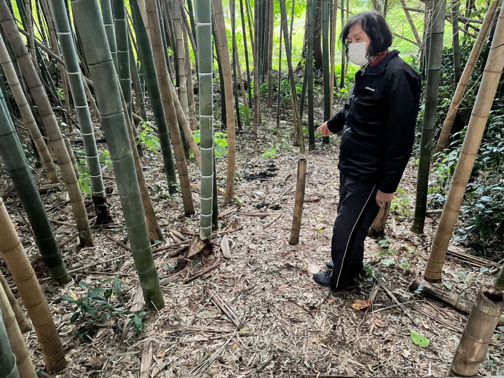 女性が亡くなっていた竹やぶ【会津若松市郊外部の門田町御山地区】