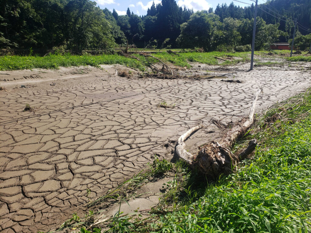 農業被害の状況【土砂が流入したと思われる農地（喜多方市山都町）】