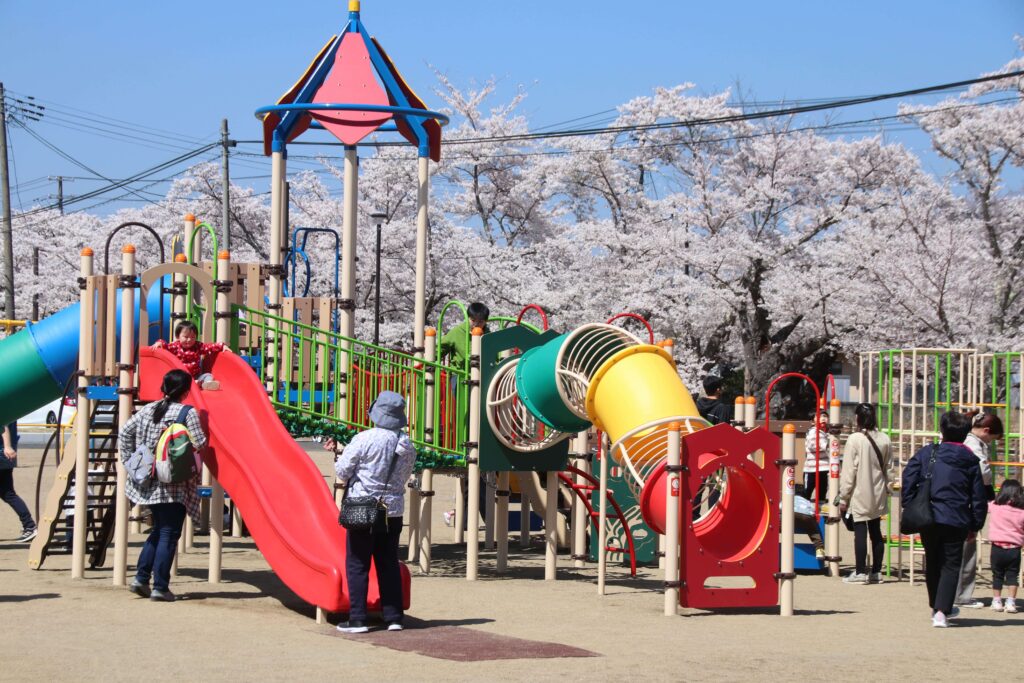 【富岡町】除染された夜の森公園で遊ぶ家族連れ