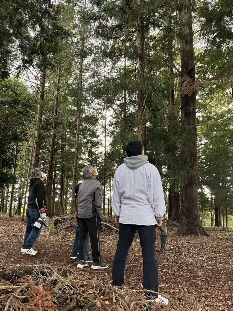 巣立ち後の２、３週間は連日、地元住民や写真愛好家が梁川八幡神社境内に足を運ぶ（5月８日、編集部撮影）