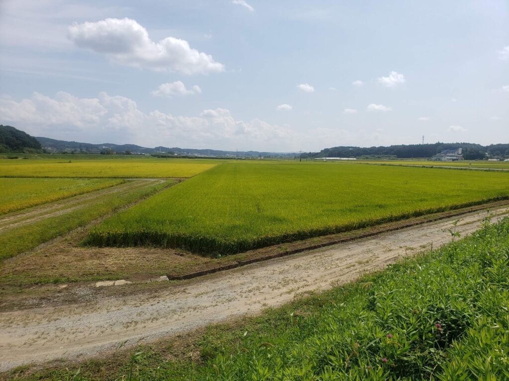 遊水地事業エリアの成田地区