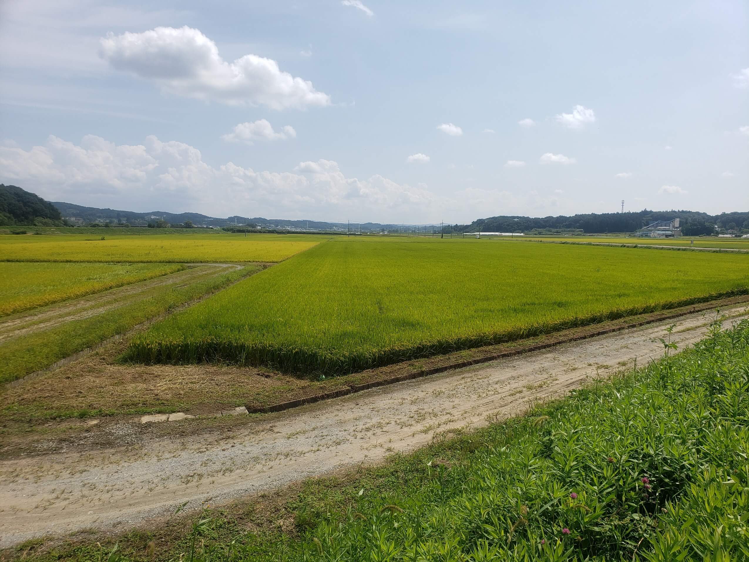 鏡石町遊水地特別委が国・県に意見書提出