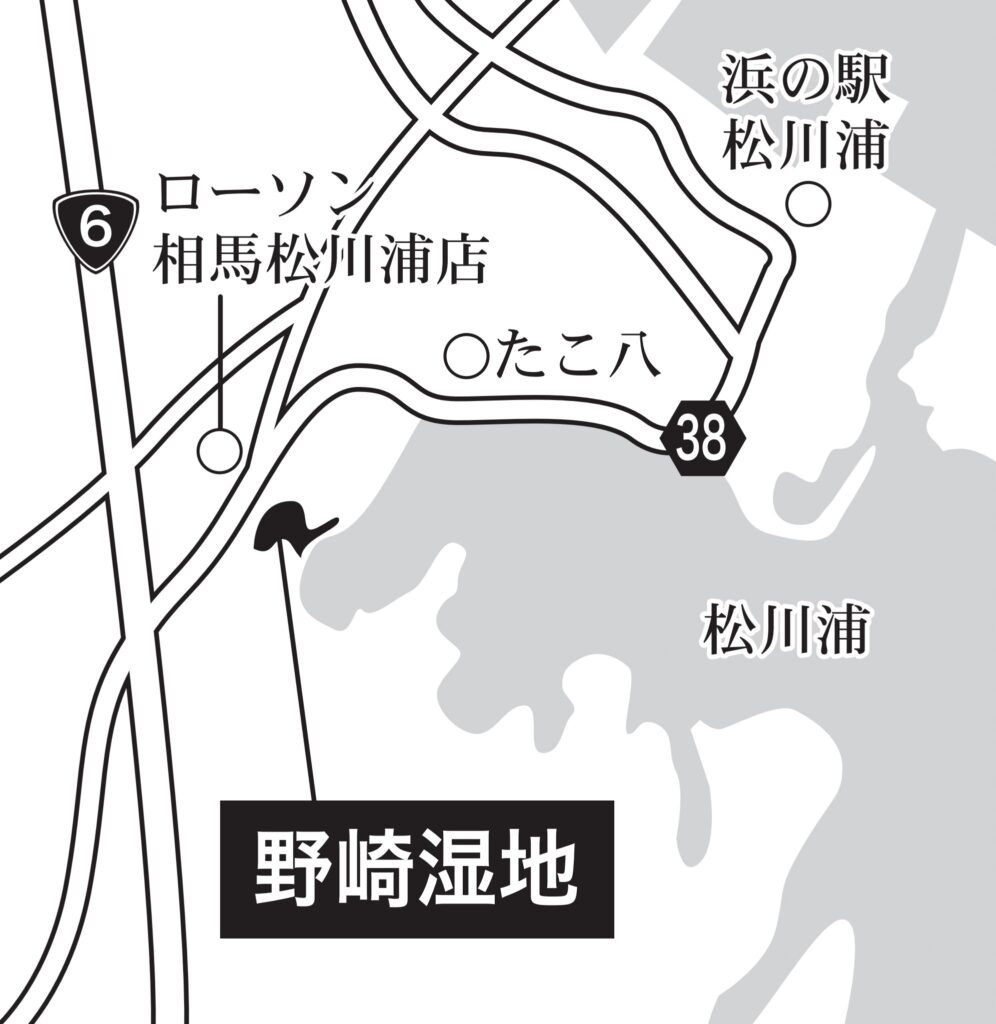 野崎湿地　地図