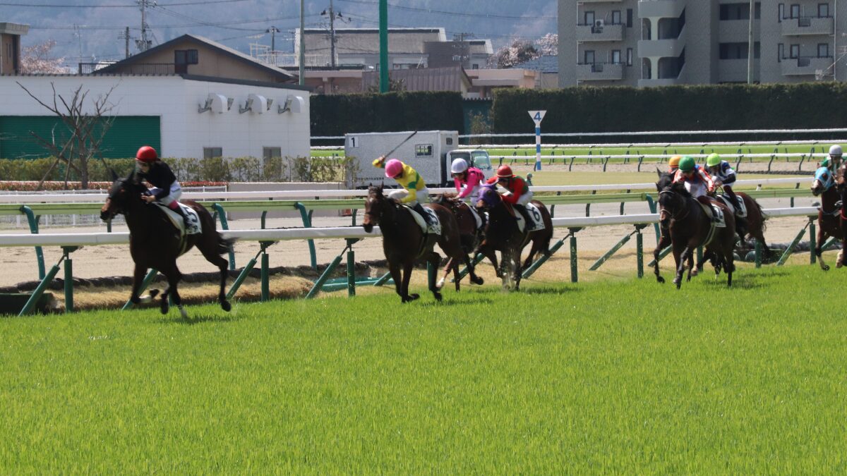 春の福島競馬】本誌記者、初の馬券に味を占める
