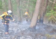 他人事でない山火事の恐怖