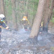 他人事でない山火事の恐怖