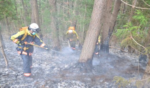 他人事でない山火事の恐怖
