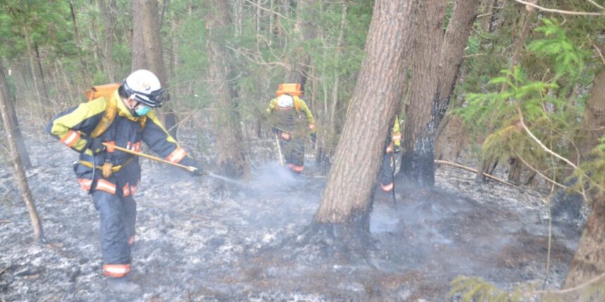 他人事でない山火事の恐怖