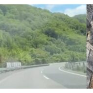 【磐越道マイクロバス死傷事故】現場近くの県道にひっそり